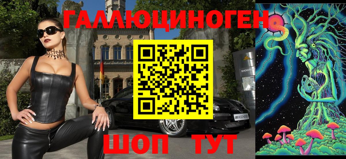 Галлюциногенные грибы Psilocybine cubensis  Вход с VPN  Балашов  Галлюциногенные грибы прущие грибы 